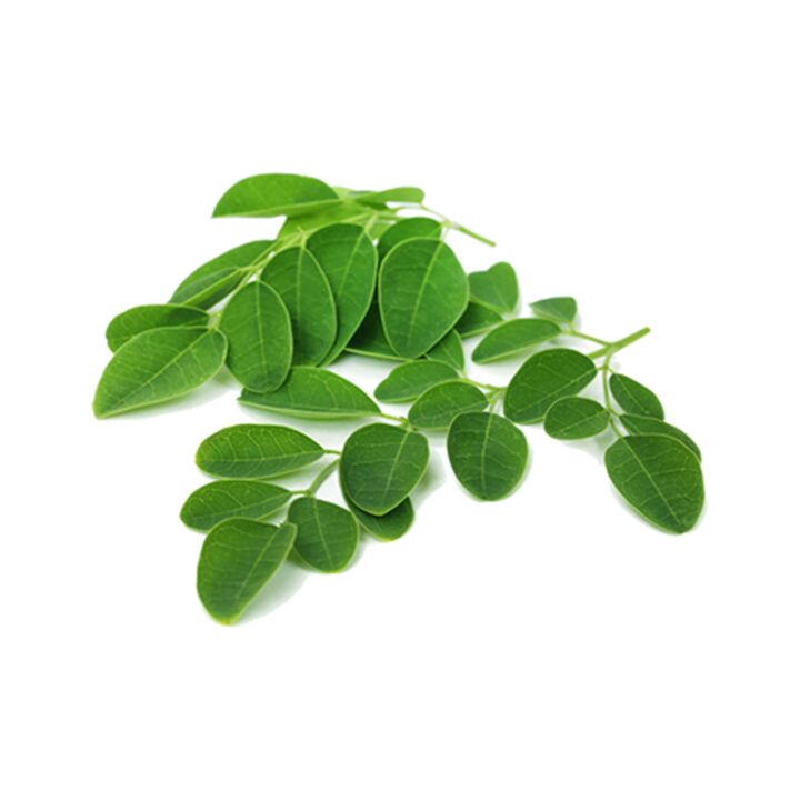 Normadex bevat moringablad - een krachtig natuurlijk middel tegen parasieten